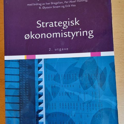 Strategisk økonomistyring