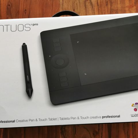 Wacom Intuos Pro S (PTH-451-ENES