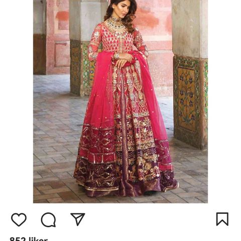Pakistansk /indisk kjole