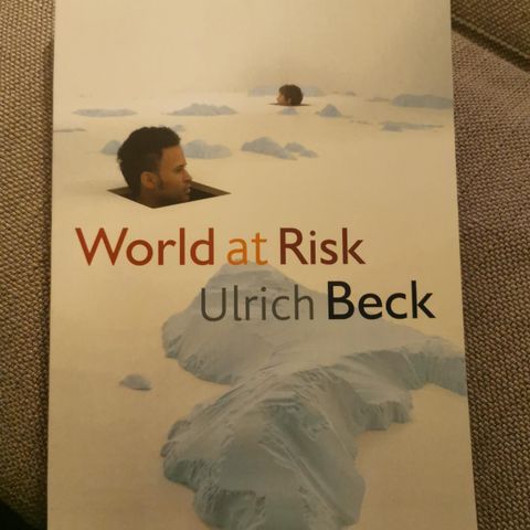 Ulrich Beck: World at Risk