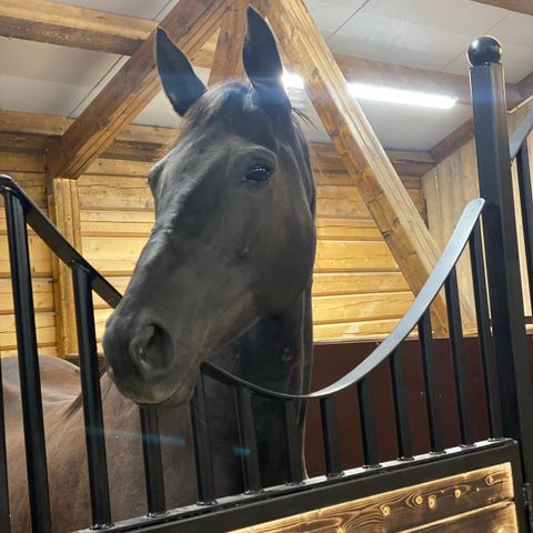 Stallplass med ridehus på Stall Korstad