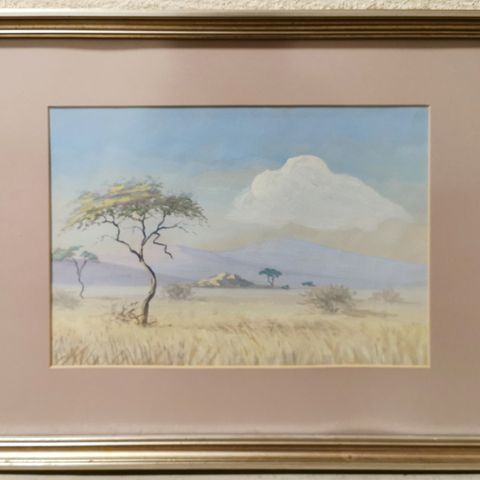 BANIE VAN DER MERWE (SOUTH AFRICA/NAMIBIA, 1903 - 1972),
