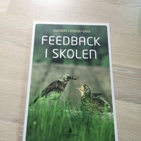 Feedback i skolen