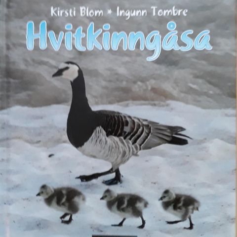 Hvitkinngåsa - Ny Innb bok