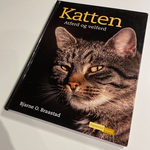 Katten Adferd og velferd