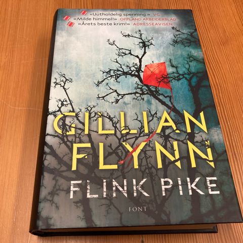 Gillian Flynn : FLINK PIKE