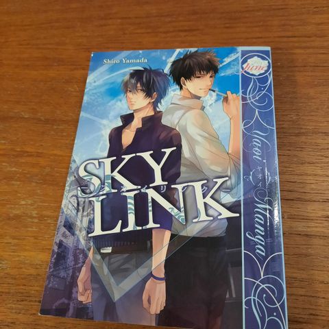 Sky link - Shiro Yamada - 2011