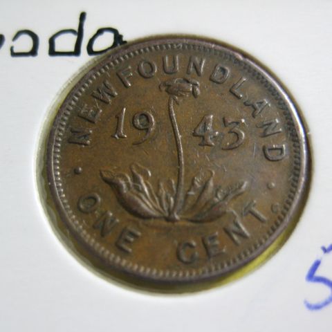 1 Cent New Foundland  / Canada 1943 kv 01