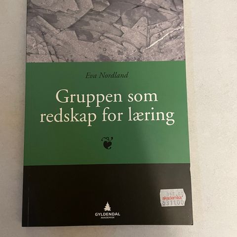 Gruppen som redskap for læring