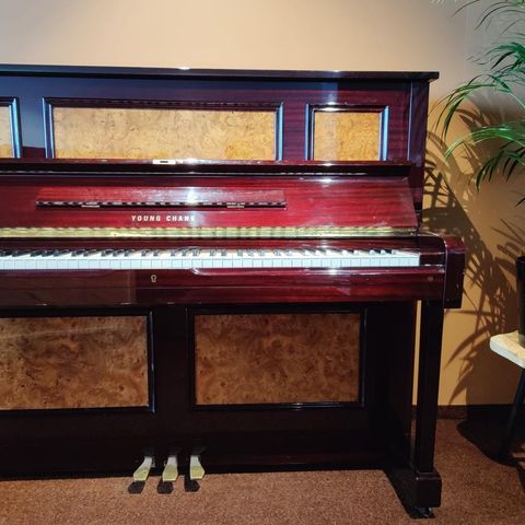 Young Chang Mod.121 Outlet-piano