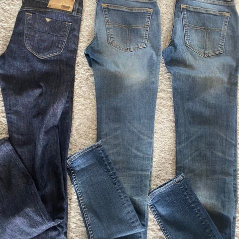 Jeans / Tiger og Diesel