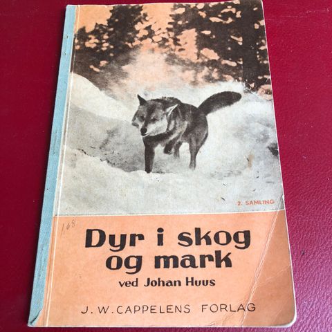Hefte/liten bok: Dyr i skog og mark