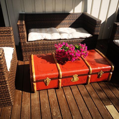 Bentwood Steamer Trunk kaffebord