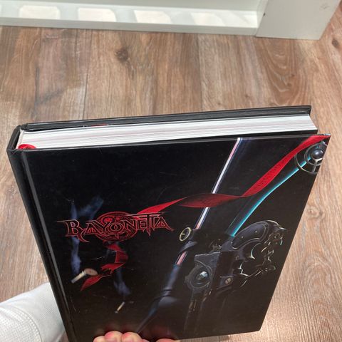 Bayonetta collectors edition game guide