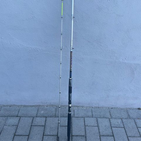 Daiwa fiskestenger