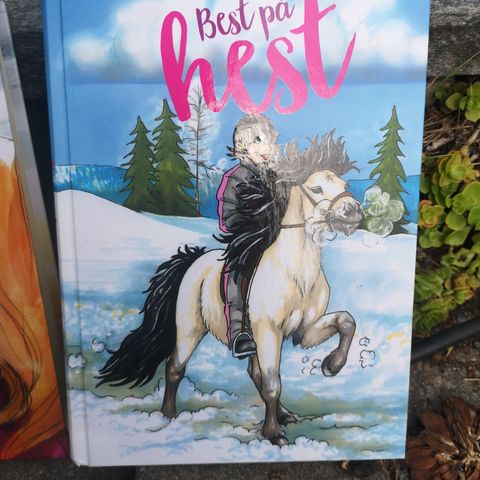 Hest er best, Pennyklubben,