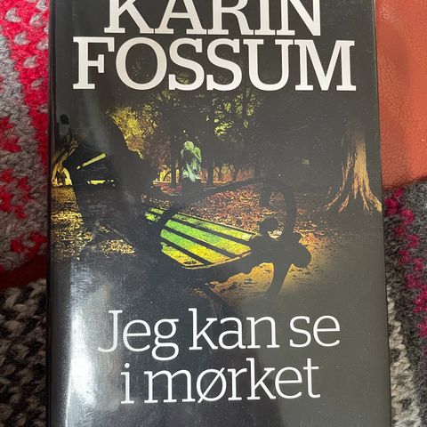 Jeg kan se i mørket av Karin Fossum