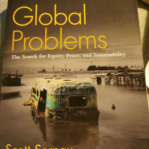 Scott Sernau: Global problems