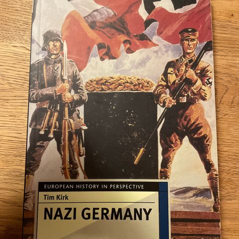 Nazi Germany (European History in Perspective)