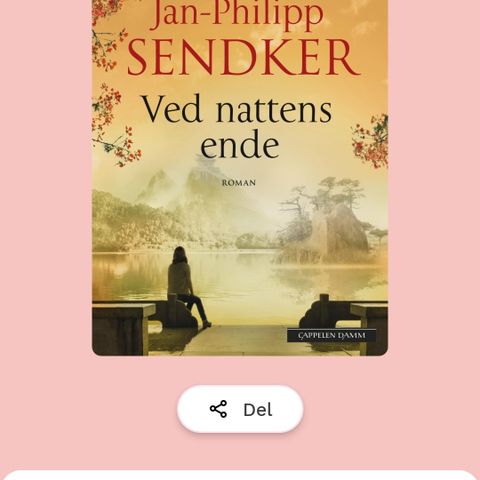 Jan-Philipp Sendker - Ved nattens ende