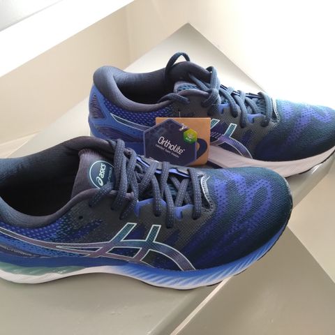 Asics Gel-Nimbus str. 42.5