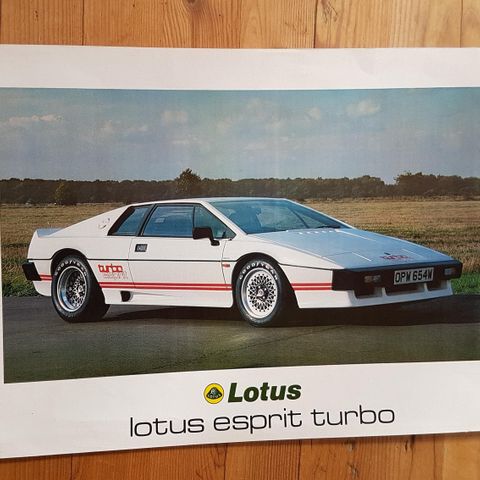 Lotus Turbo brosjyre.
