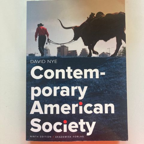 Contemporary American Society