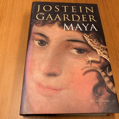 Jostein Gaarder : MAYA