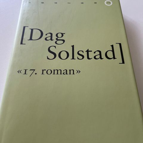 17. roman av Dag Solstad