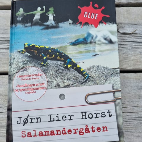 Annonsebilde