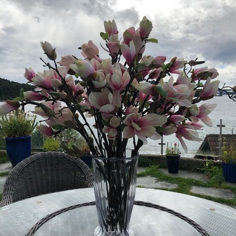 Vase med 15 grener kunstig magnolia til leie