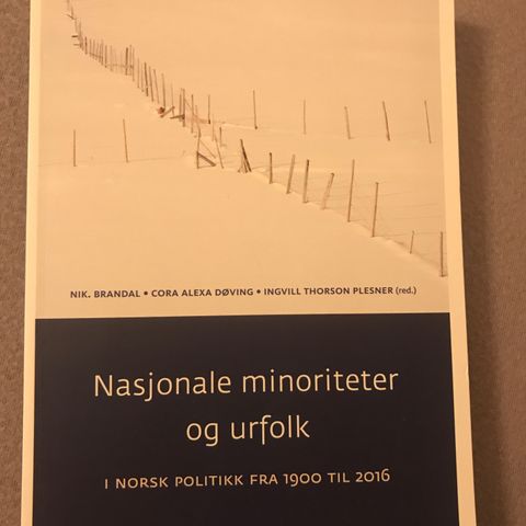 Nasjonale minoriteter og urfolk i norsk politikk