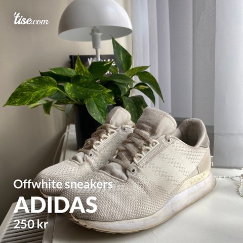 Adidas sneakers