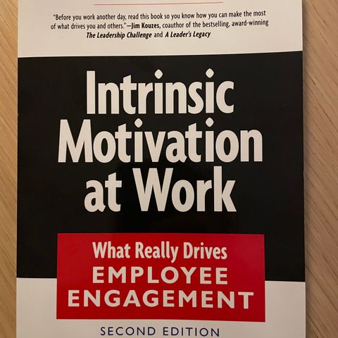 Intrinsic Motivation at Work