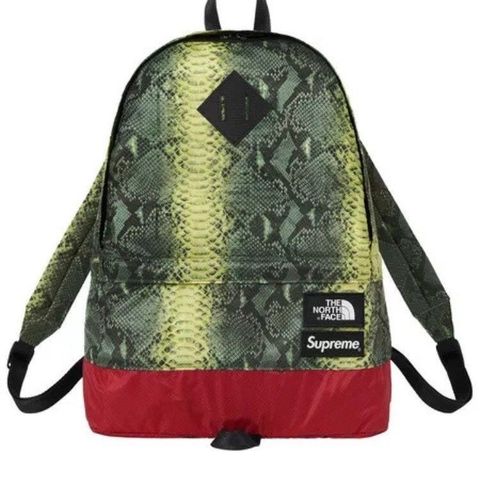 Supreme x The North Face Backpack Snakeskin