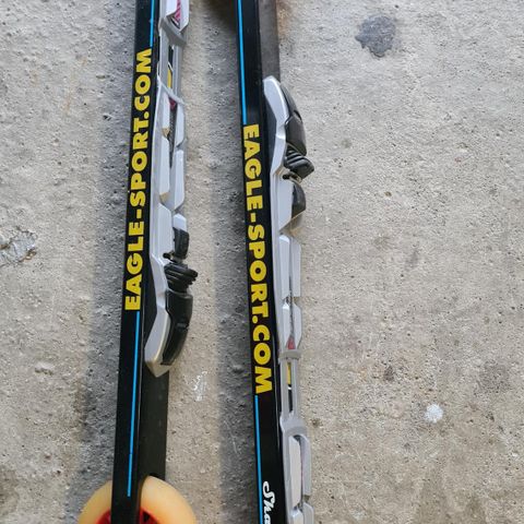 Eagle og Ski go