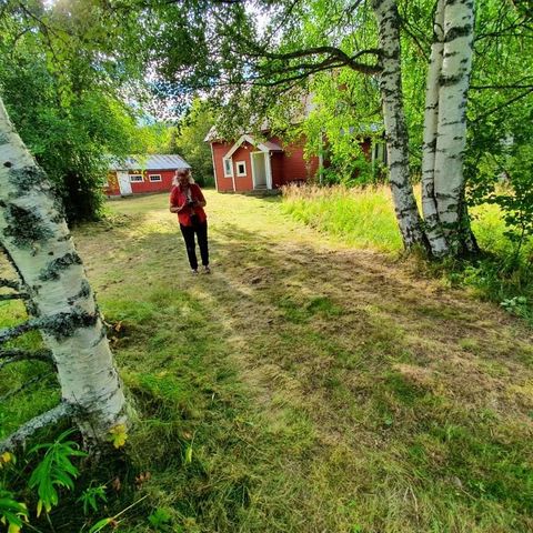 Fritidseiendom god beliggenhet i forhold til jakt, fiske og friluftsliv