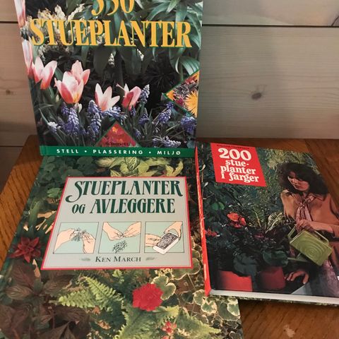 Stueplanter og avleggere , 350 stueplanter , 200 stueplanter i farger