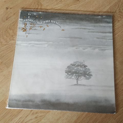Genesis - Wind and Wuthering LP