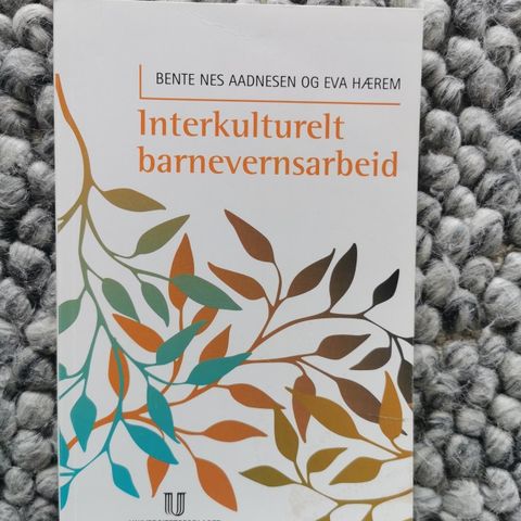 Interkulturelt barnevernsarbeid