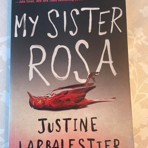 My sister Rosa by Justine Larbalestier