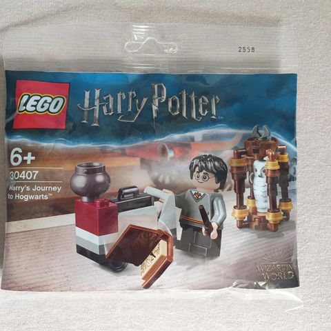 Lego 30407 Harry's Journey to Hogwarts