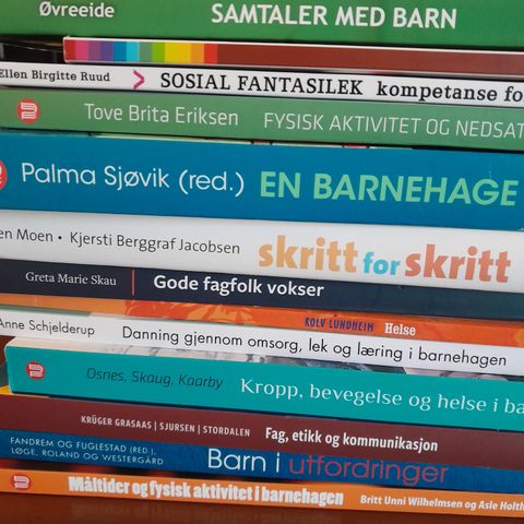 Pensumbøker Barnehagelærer, Barn med særskilte behov, sosialt arbeid..