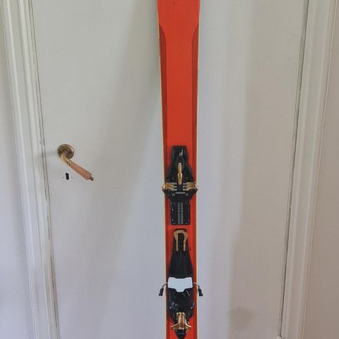 Blizzard Zero G 95 LTD 185cm (en ski)