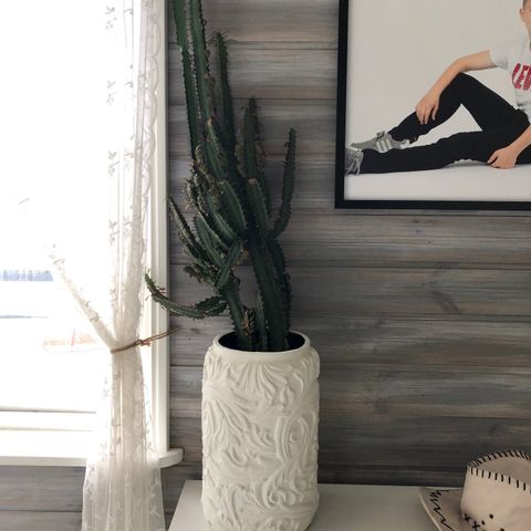Stor kaktus, 110cm,  med superfin potte