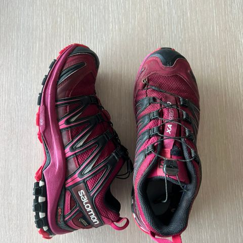 Salomon XA pro 3D gtx  38 2/3