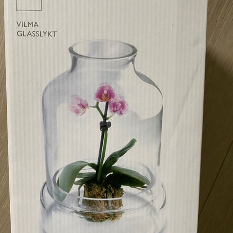 Glasslykt/vase fra Cleo