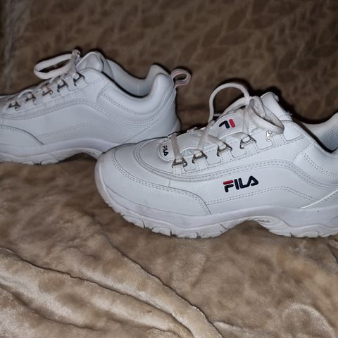 Fila sko str 40