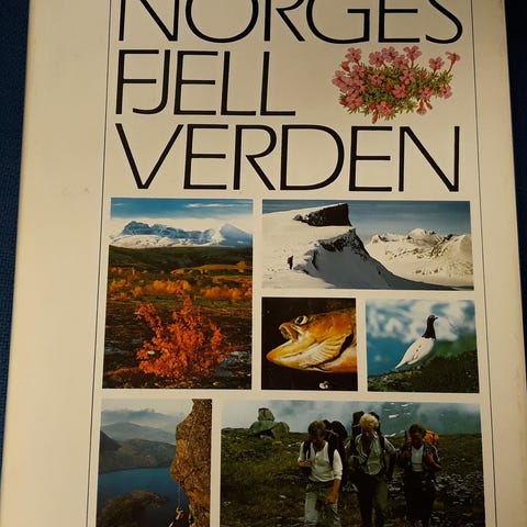Annonsebilde