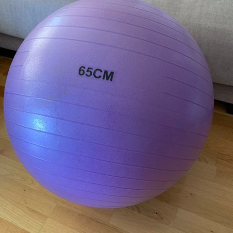 yoga/sports ball 65 cm - reservert